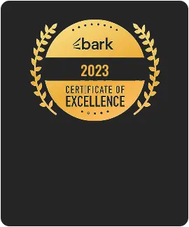 Top Software Development Company Global